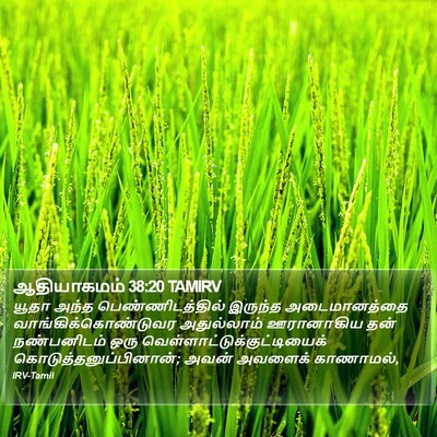 ஆதியாகமம் 38:20 TAMIRV Bible Verse Image