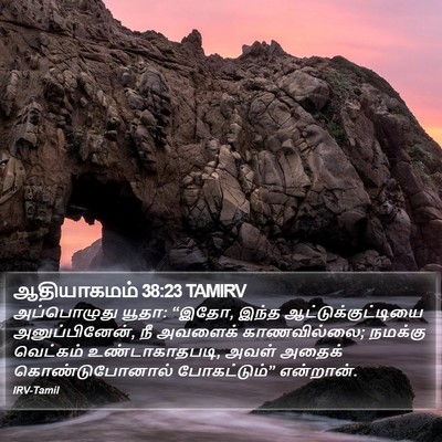 ஆதியாகமம் 38:23 TAMIRV Bible Verse Image