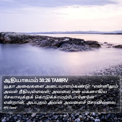 ஆதியாகமம் 38:26 TAMIRV Bible Verse Image