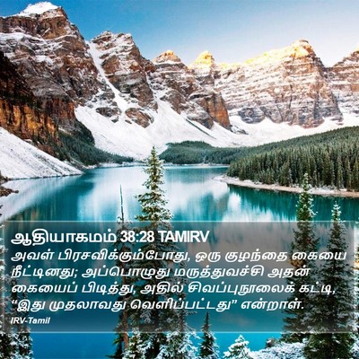 ஆதியாகமம் 38:28 TAMIRV Bible Verse Image