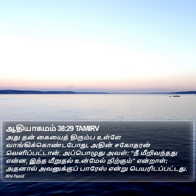 ஆதியாகமம் 38:29 TAMIRV Bible Verse Image