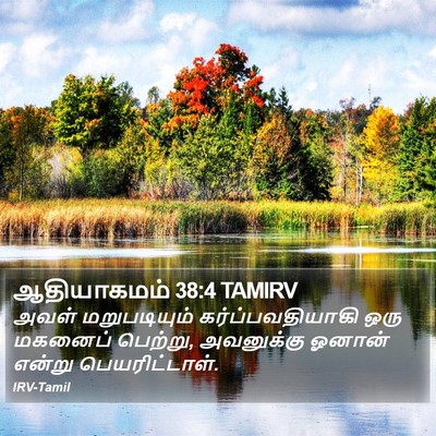 ஆதியாகமம் 38:4 TAMIRV Bible Verse Image