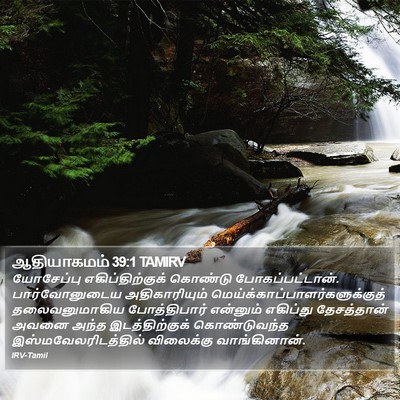 ஆதியாகமம் 39:1 TAMIRV Bible Verse Image