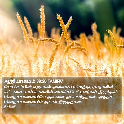 ஆதியாகமம் 39:20 TAMIRV Bible Verse Image