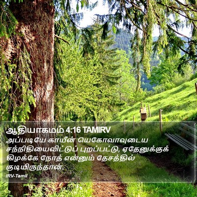 ஆதியாகமம் 4:16 TAMIRV Bible Verse Image