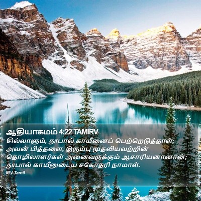 ஆதியாகமம் 4:22 TAMIRV Bible Verse Image