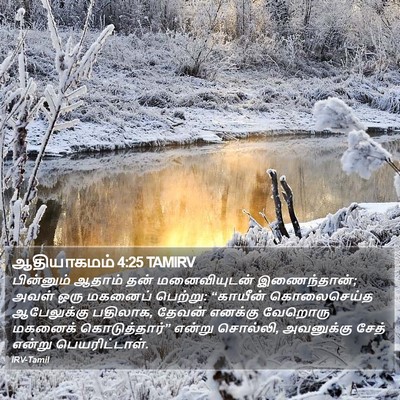 ஆதியாகமம் 4:25 TAMIRV Bible Verse Image