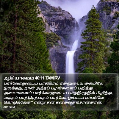 ஆதியாகமம் 40:11 TAMIRV Bible Verse Image