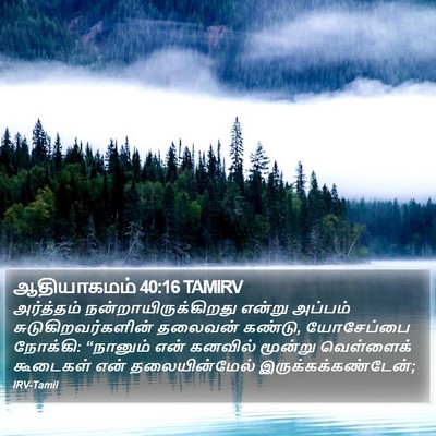 ஆதியாகமம் 40:16 TAMIRV Bible Verse Image