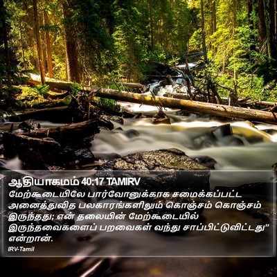 ஆதியாகமம் 40:17 TAMIRV Bible Verse Image