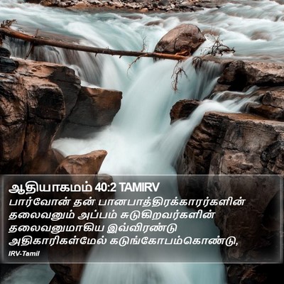 ஆதியாகமம் 40:2 TAMIRV Bible Verse Image