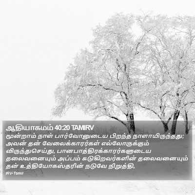 ஆதியாகமம் 40:20 TAMIRV Bible Verse Image