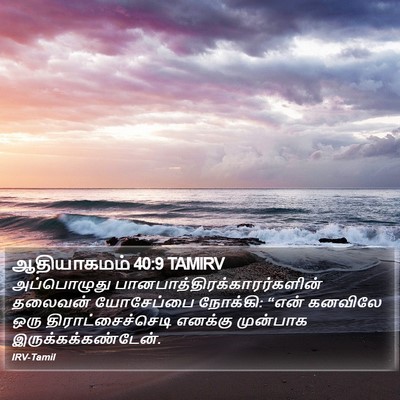 ஆதியாகமம் 40:9 TAMIRV Bible Verse Image