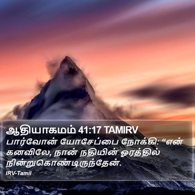 ஆதியாகமம் 41:17 TAMIRV Bible Verse Image