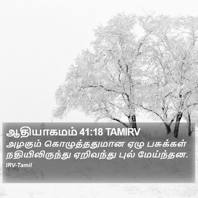 ஆதியாகமம் 41:18 TAMIRV Bible Verse Image