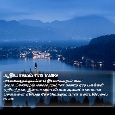 ஆதியாகமம் 41:19 TAMIRV Bible Verse Image