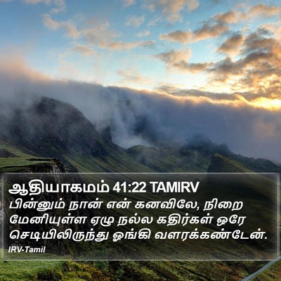 ஆதியாகமம் 41:22 TAMIRV Bible Verse Image