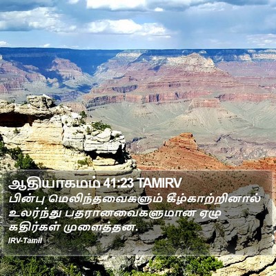 ஆதியாகமம் 41:23 TAMIRV Bible Verse Image