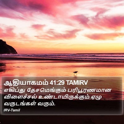 ஆதியாகமம் 41:29 TAMIRV Bible Verse Image
