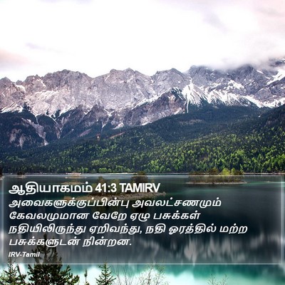 ஆதியாகமம் 41:3 TAMIRV Bible Verse Image