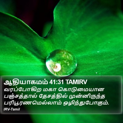 ஆதியாகமம் 41:31 TAMIRV Bible Verse Image