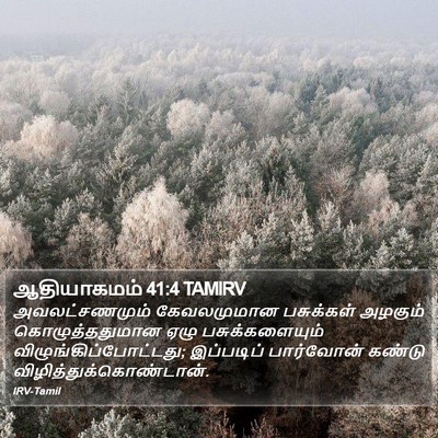 ஆதியாகமம் 41:4 TAMIRV Bible Verse Image