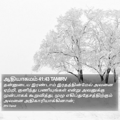 ஆதியாகமம் 41:43 TAMIRV Bible Verse Image