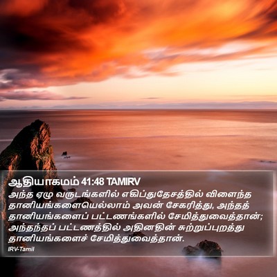 ஆதியாகமம் 41:48 TAMIRV Bible Verse Image