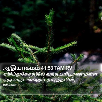 ஆதியாகமம் 41:53 TAMIRV Bible Verse Image