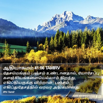 ஆதியாகமம் 41:56 TAMIRV Bible Verse Image