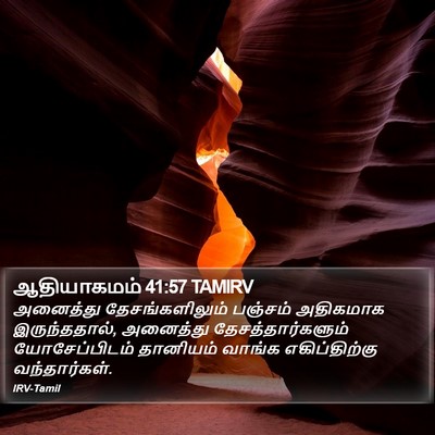 ஆதியாகமம் 41:57 TAMIRV Bible Verse Image