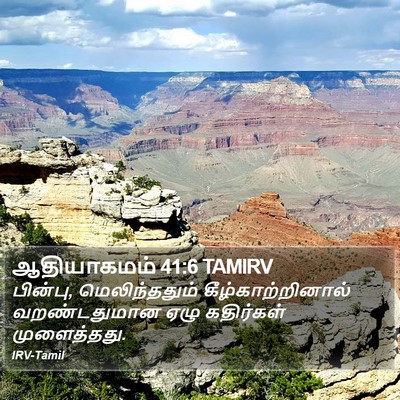 ஆதியாகமம் 41:6 TAMIRV Bible Verse Image