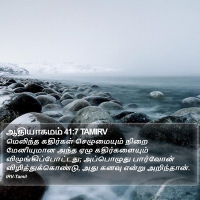 ஆதியாகமம் 41:7 TAMIRV Bible Verse Image