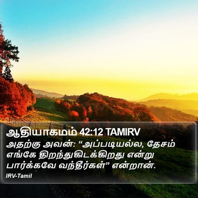 ஆதியாகமம் 42:12 TAMIRV Bible Verse Image