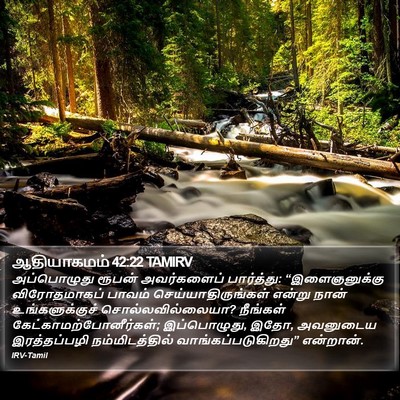 ஆதியாகமம் 42:22 TAMIRV Bible Verse Image