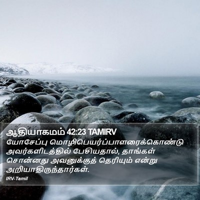 ஆதியாகமம் 42:23 TAMIRV Bible Verse Image
