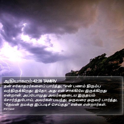 ஆதியாகமம் 42:28 TAMIRV Bible Verse Image
