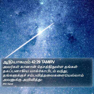 ஆதியாகமம் 42:29 TAMIRV Bible Verse Image