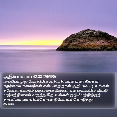 ஆதியாகமம் 42:33 TAMIRV Bible Verse Image