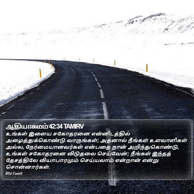 ஆதியாகமம் 42:34 TAMIRV Bible Verse Image
