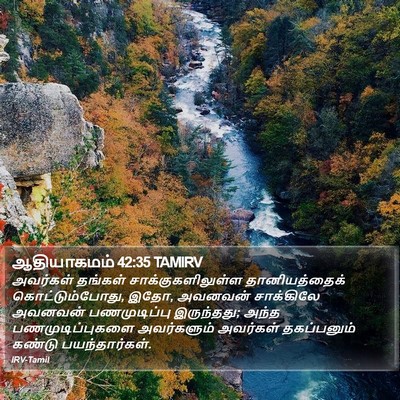ஆதியாகமம் 42:35 TAMIRV Bible Verse Image