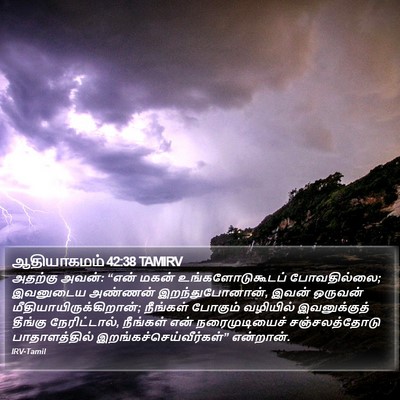 ஆதியாகமம் 42:38 TAMIRV Bible Verse Image