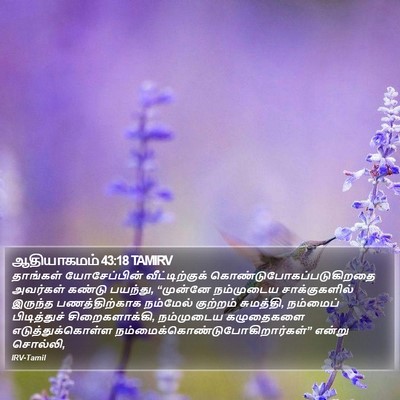 ஆதியாகமம் 43:18 TAMIRV Bible Verse Image