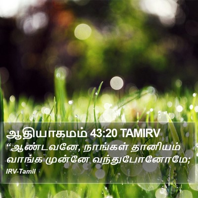 ஆதியாகமம் 43:20 TAMIRV Bible Verse Image
