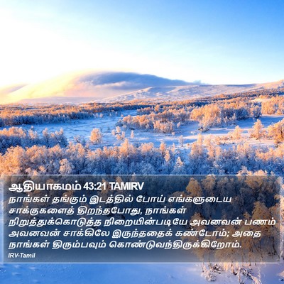 ஆதியாகமம் 43:21 TAMIRV Bible Verse Image