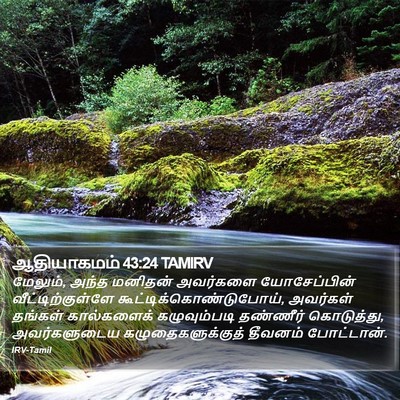 ஆதியாகமம் 43:24 TAMIRV Bible Verse Image