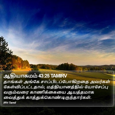 ஆதியாகமம் 43:25 TAMIRV Bible Verse Image