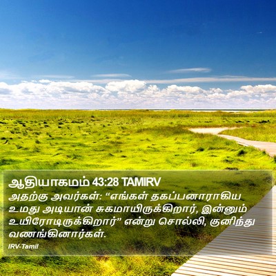 ஆதியாகமம் 43:28 TAMIRV Bible Verse Image
