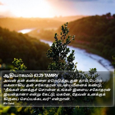 ஆதியாகமம் 43:29 TAMIRV Bible Verse Image