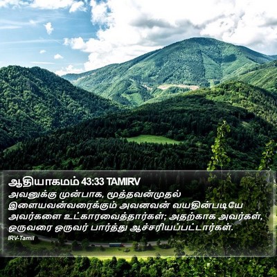 ஆதியாகமம் 43:33 TAMIRV Bible Verse Image